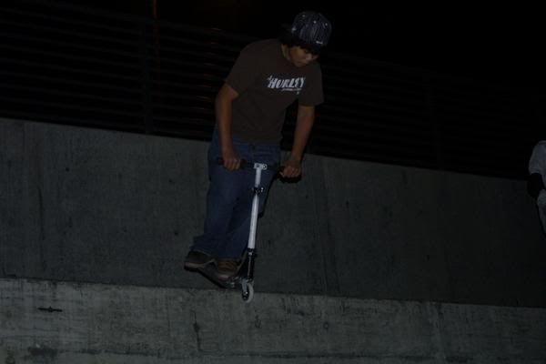 noseblunt.jpg