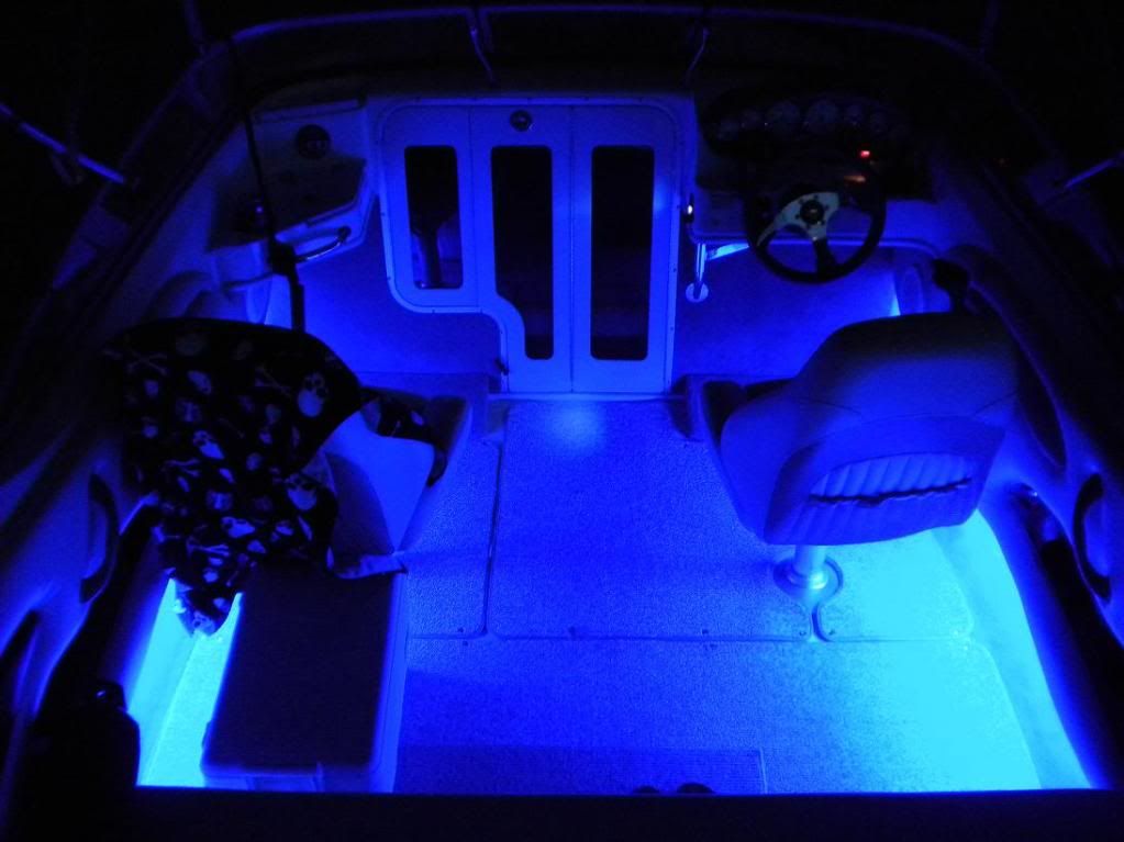 LEDs.jpg