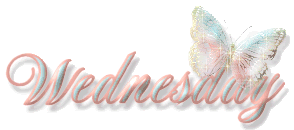Days Graphic