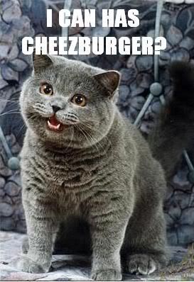 cheeseburger Pictures, Images and Photos
