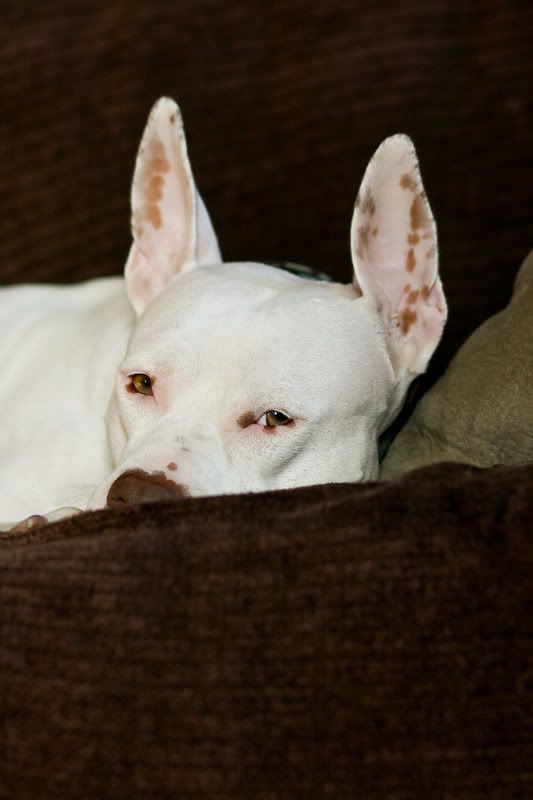 IMAGE: http://i150.photobucket.com/albums/s110/JokerGirlsPhotos/IMG_0702-2.jpg