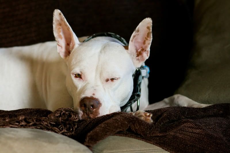 IMAGE: http://i150.photobucket.com/albums/s110/JokerGirlsPhotos/IMG_0720-2.jpg