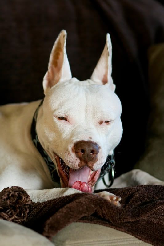 IMAGE: http://i150.photobucket.com/albums/s110/JokerGirlsPhotos/IMG_0727-2.jpg