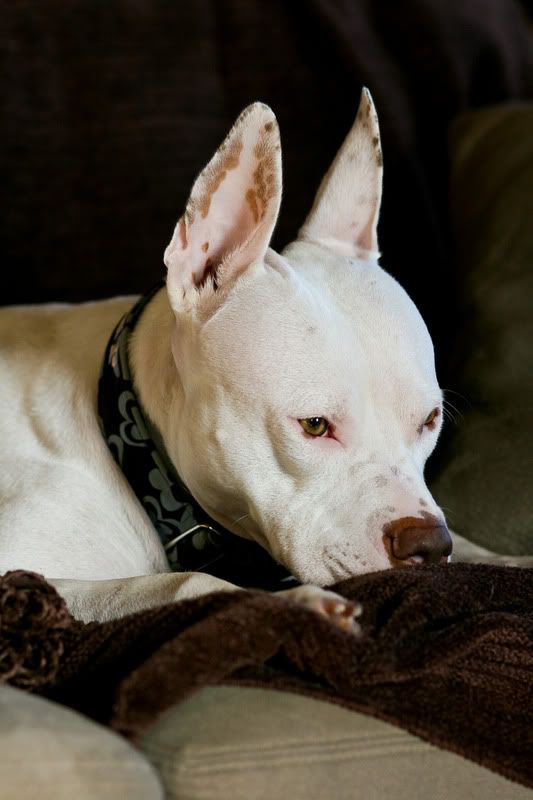 IMAGE: http://i150.photobucket.com/albums/s110/JokerGirlsPhotos/IMG_0728-2.jpg