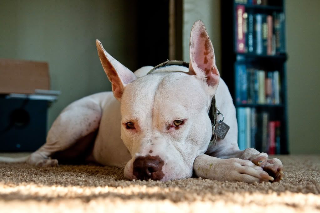 IMAGE: http://i150.photobucket.com/albums/s110/JokerGirlsPhotos/IMG_3056.jpg