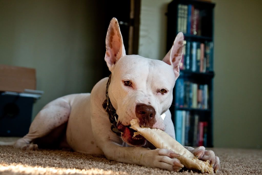 IMAGE: http://i150.photobucket.com/albums/s110/JokerGirlsPhotos/IMG_3058.jpg