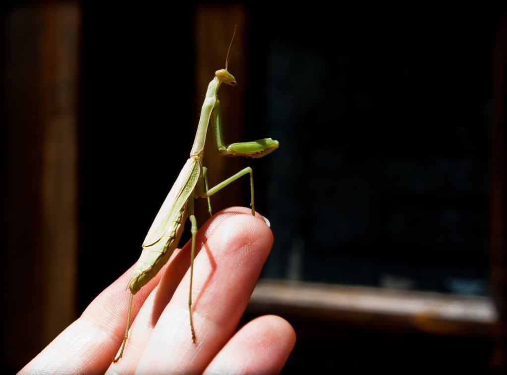 IMAGE: http://i150.photobucket.com/albums/s110/JokerGirlsPhotos/IMG_3487.jpg