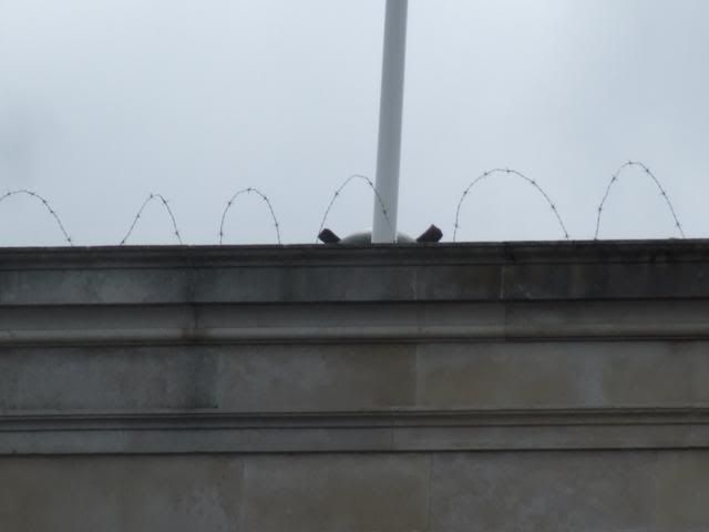 DSCF9720.jpg