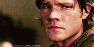 photo 5248d27f.gif