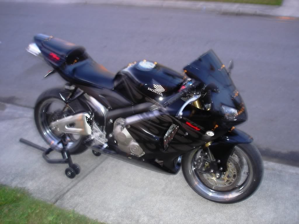 2005 Honda cbr rr tribal