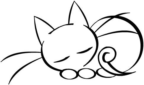 st00pid_anime_kitty.jpg Sleep image by Ash07_017