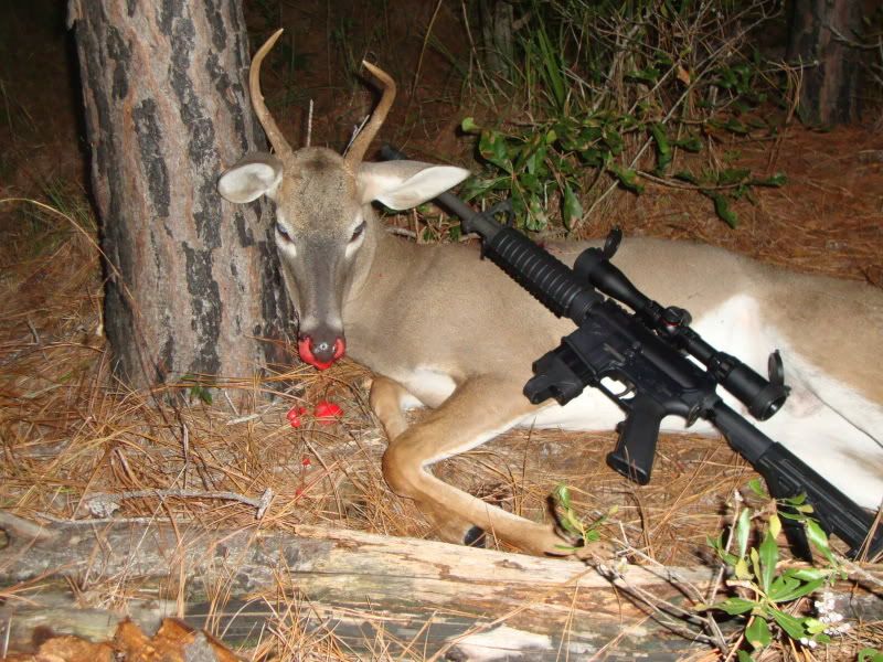 Deerhunting2010011.jpg