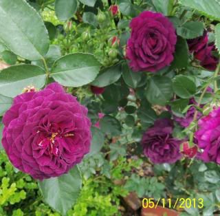  photo ebbtide_zps7313b79b.jpg