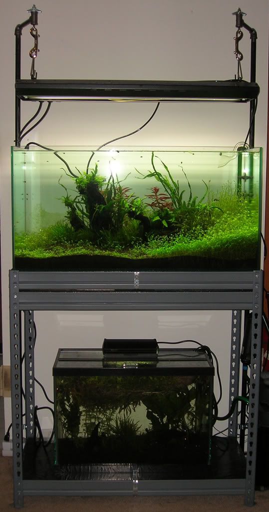 DIY(ish) 90cm Tank & 36" TEK Light Stand DIY Aquarium Projects