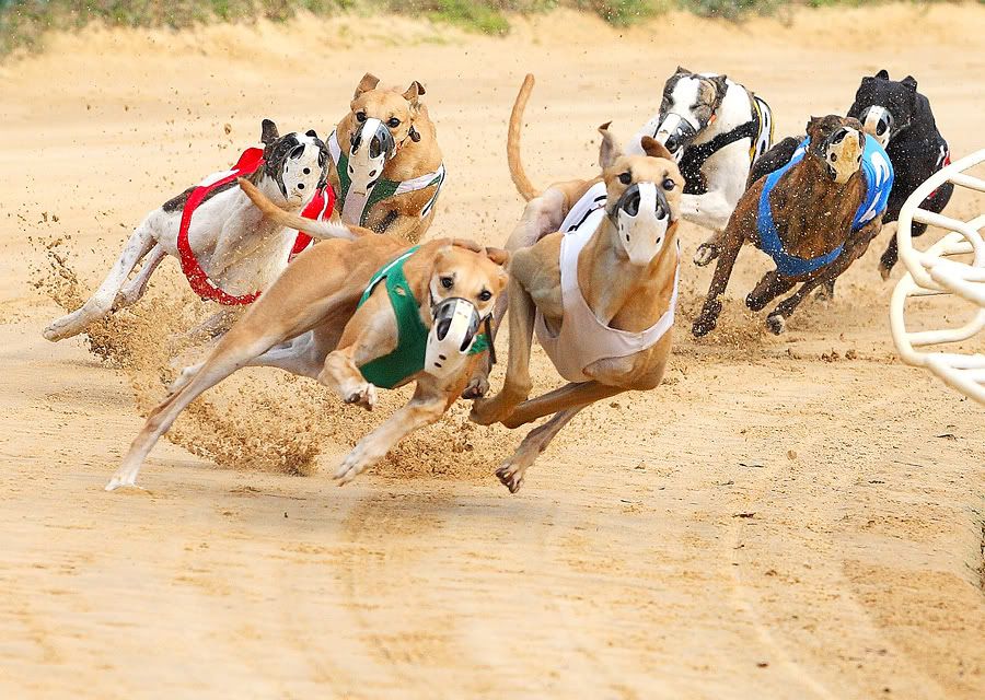 IMAGE: http://i150.photobucket.com/albums/s114/BlueDeuce1/0O9E5280.jpg