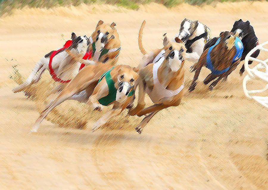 IMAGE: http://i150.photobucket.com/albums/s114/BlueDeuce1/0O9E5280copy.jpg