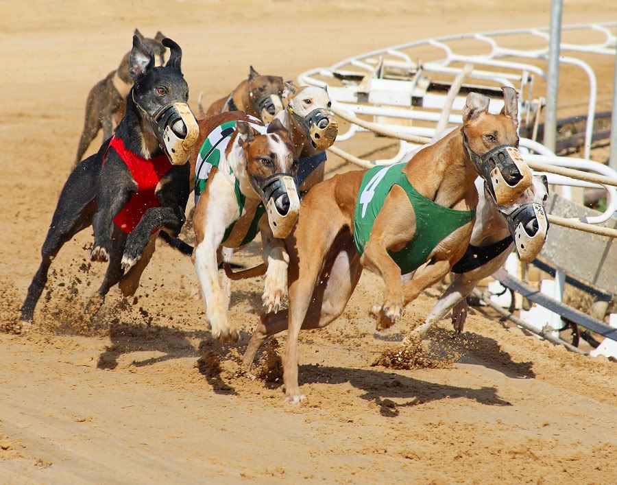 IMAGE: http://i150.photobucket.com/albums/s114/BlueDeuce1/0O9E5416.jpg