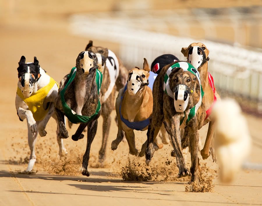 IMAGE: http://i150.photobucket.com/albums/s114/BlueDeuce1/0O9E6398.jpg