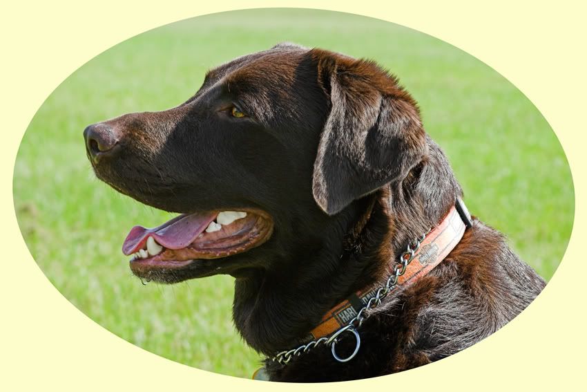 IMAGE: http://i150.photobucket.com/albums/s114/BlueDeuce1/D3.jpg