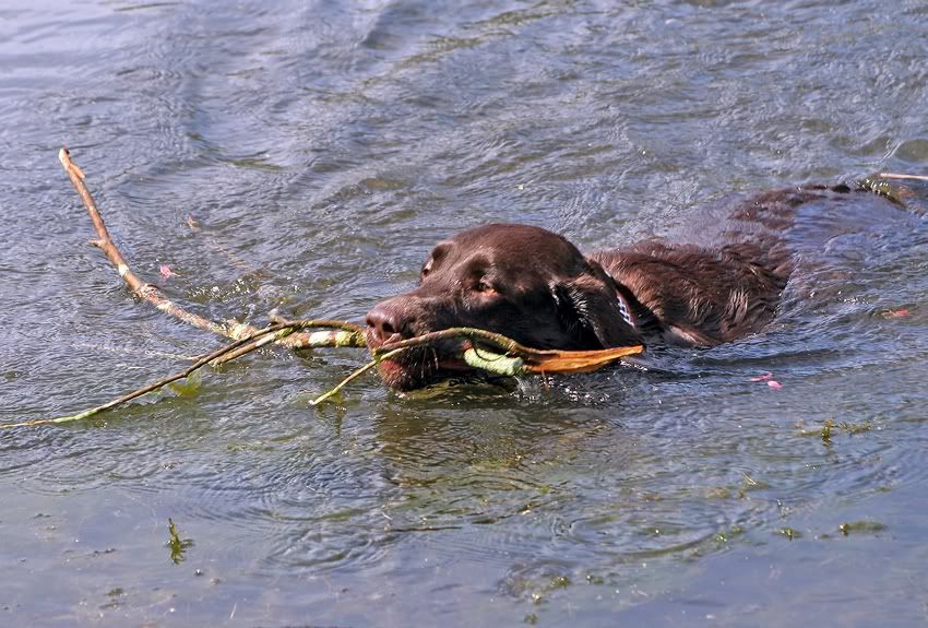 IMAGE: http://i150.photobucket.com/albums/s114/BlueDeuce1/D5.jpg