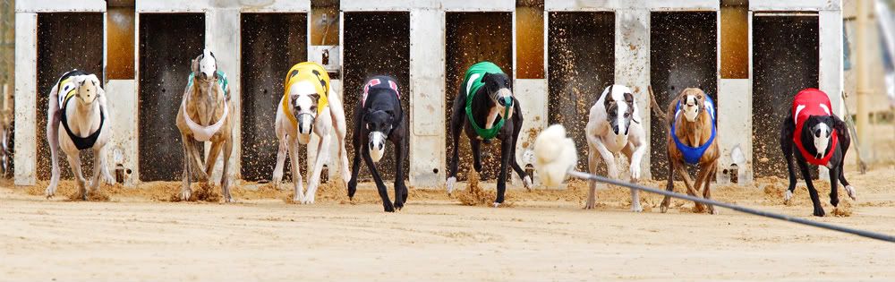 IMAGE: http://i150.photobucket.com/albums/s114/BlueDeuce1/IMG_2746.jpg