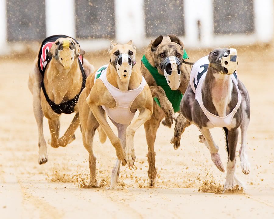 IMAGE: http://i150.photobucket.com/albums/s114/BlueDeuce1/IMG_2865.jpg