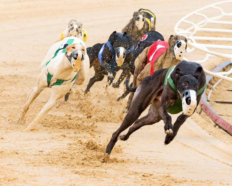 IMAGE: http://i150.photobucket.com/albums/s114/BlueDeuce1/IMG_2903.jpg