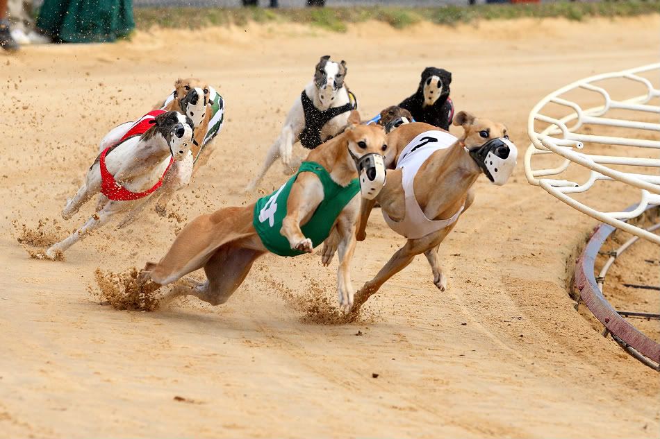 IMAGE: http://i150.photobucket.com/albums/s114/BlueDeuce1/SOKC3.jpg