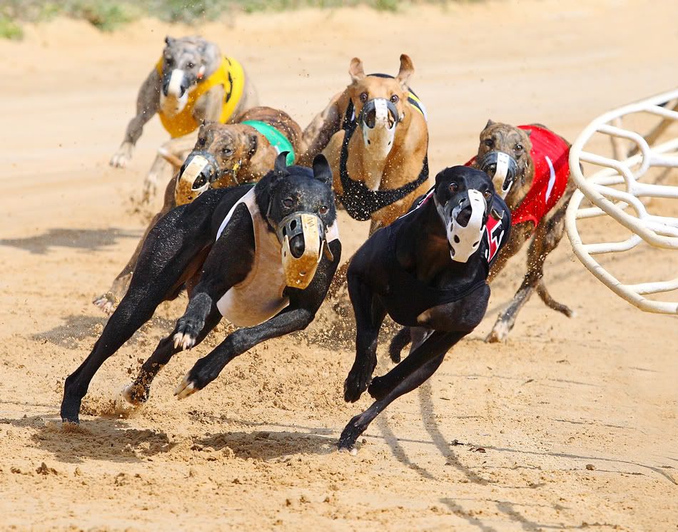 IMAGE: http://i150.photobucket.com/albums/s114/BlueDeuce1/SOKC7.jpg