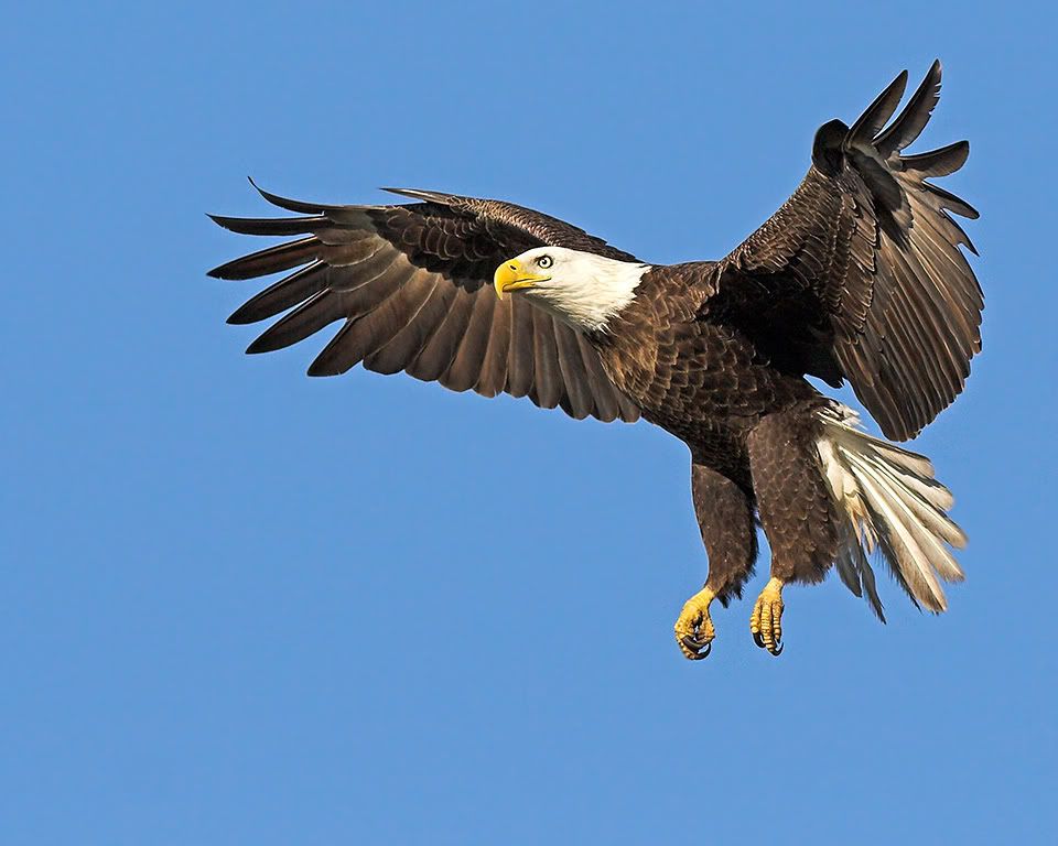 IMAGE: http://i150.photobucket.com/albums/s114/BlueDeuce1/puppet-on-a-astring.jpg