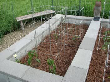 peppers, green beans, onions