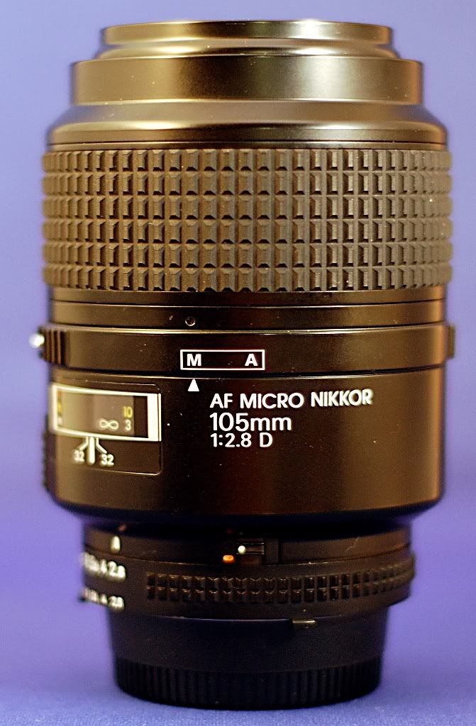 nikon105mm.jpg