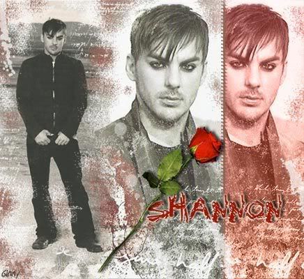 banner-shannon.jpg