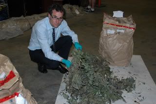 Examining Medical Marijuana that is returned to his client