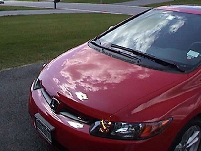 DSC00423.jpg