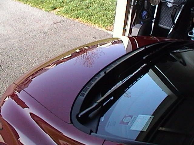 DSC00432.jpg