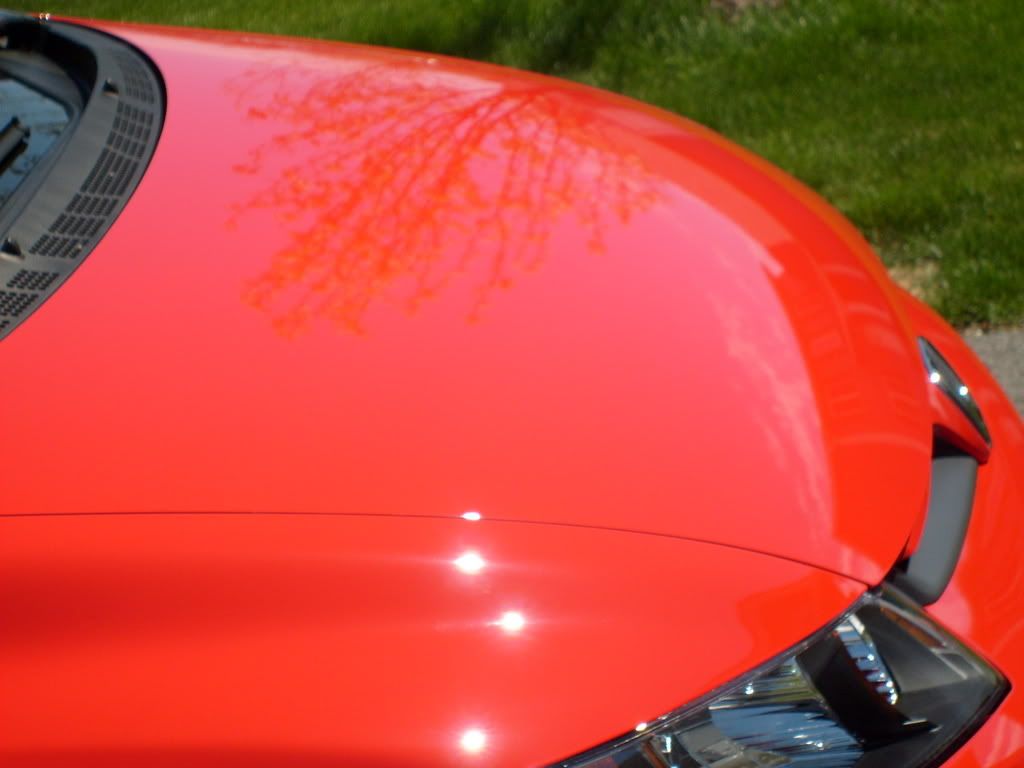 S6300015.jpg