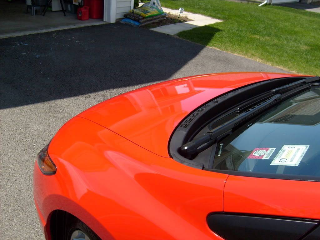 S6300021.jpg