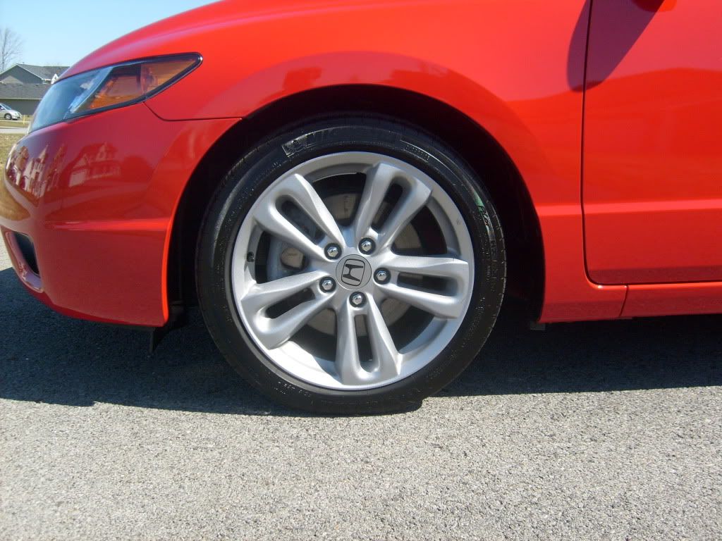 S6300099.jpg