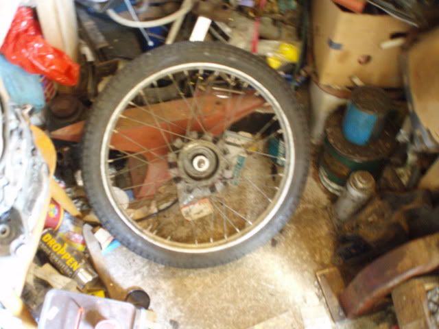 Bild