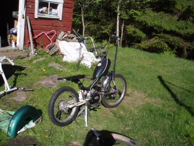 Bild