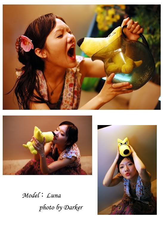 Photo Sharing and Video Hosting at Photobucket