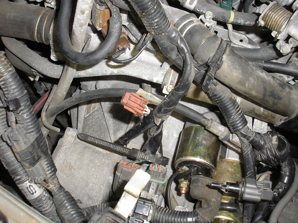 Block Heater Location??? Maxima Forums