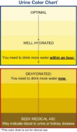 urine_color_chart_zpscf70d6bb.jpg