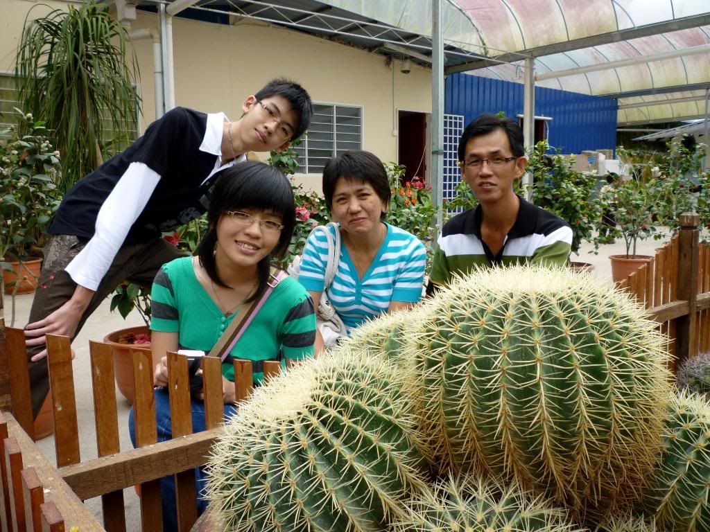 P1010352.jpg Cameron Highlands Dec 2009 picture by smileaqua90