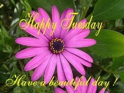Tuesday-1.jpg Happy Tuesday image by BrandyBreeze
