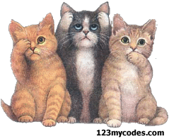 3 kitties animation