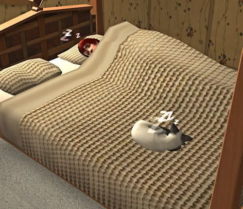 Mr. Miyagi and Eileen sleep