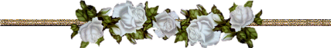 white rose divider Pictures, Images and Photos