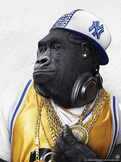 monkey hip hop